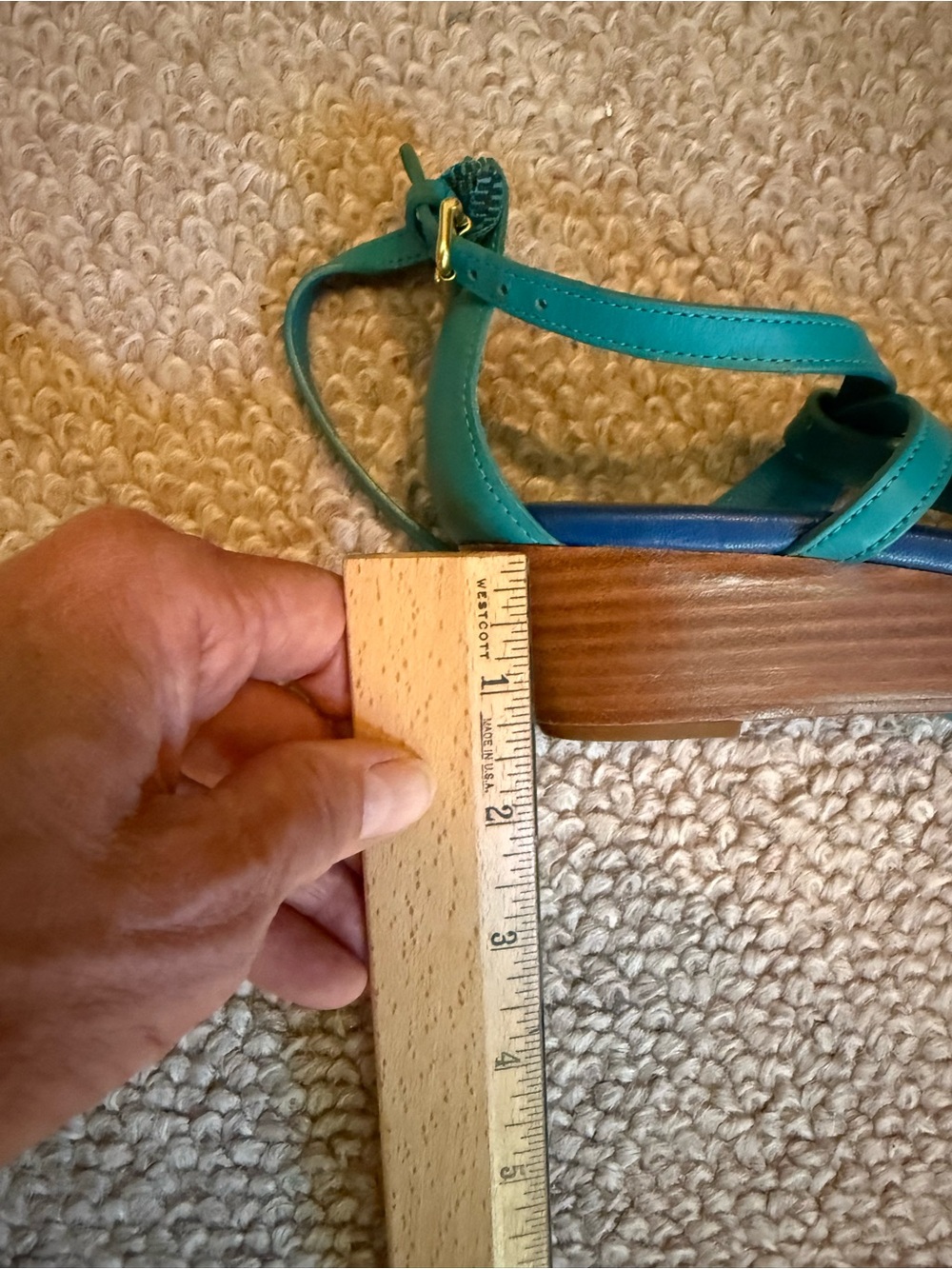 Genuine Coach Blue and Teal
Gladiator Sandals with Adjustable Straps - Picture 8 of 11
